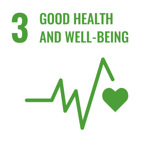 SDG Icons Inverted Transparent WEB 03