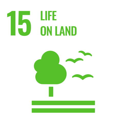 SDG Icons Inverted Transparent WEB 15